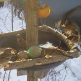 photo 2019-01-27 09-13-41