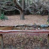 photo 2021-10-25 17-48-12