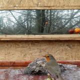 photo 2022-01-25 12-19-11