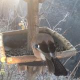 photo 2019-12-30 08-14-22