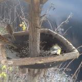 photo 2019-12-29 13-26-47