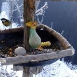 photo 2019-01-21 08-24-36