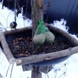 photo 2019-01-10 07-34-34