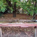 photo 2021-10-03 06-36-03