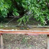 photo 2021-05-24 11-24-43