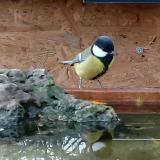 photo 2023-10-28 16-26-36 szencinege