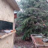 photo 2021-12-29 08-24-40