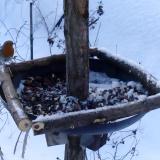 photo 2019-01-09 08-02-31