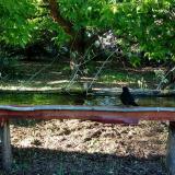 photo 2021-05-09 18-16-04