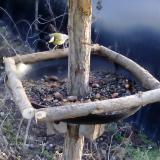 photo 2019-01-03 14-36-53