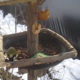 photo 2019-01-31 10-26-30