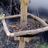 photo 2019-01-03 11-24-27