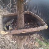 photo 2019-03-02 09-28-02