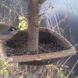 photo 2019-12-22 11-38-11