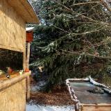 photo 2022-01-09 10-55-13