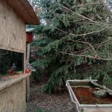 photo 2022-01-03 14-48-39