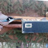 photo 2021-02-28 07-00-52