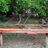 photo 2021-05-07 07-29-20