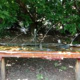 photo 2021-08-04 13-43-43