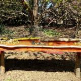 photo 2021-04-10 12-50-28