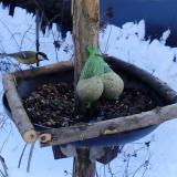 photo 2019-01-09 11-36-23