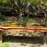 photo 2021-04-21 12-49-36