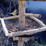 photo 2019-01-02 09-58-56