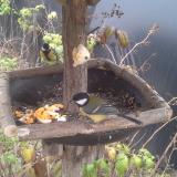 photo 2019-12-07 14-07-23