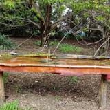 photo 2021-04-19 12-45-49