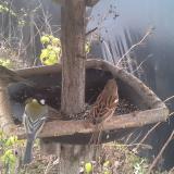 photo 2019-12-21 12-21-16