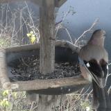 photo 2019-12-26 07-53-34