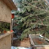 photo 2022-01-09 13-19-20