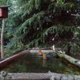 photo 2023-10-10 18-08-18