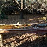 photo 2021-10-24 16-03-19