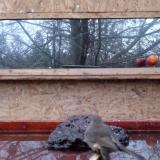 photo 2022-01-30 07-03-46