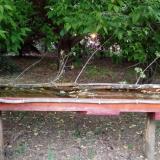 photo 2021-05-12 19-52-34