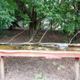 photo 2021-08-08 06-56-27