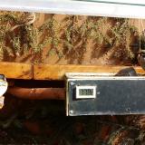 photo 2021-03-01 12-11-53