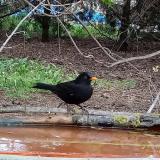 photo 2021-04-18 15-40-16 rigo