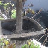 photo 2019-12-02 07-42-32