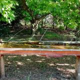 photo 2021-05-09 08-01-11