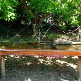 photo 2021-05-08 11-15-13