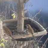 photo 2019-12-26 12-35-47