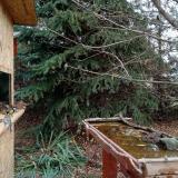 photo 2021-11-18 09-17-06