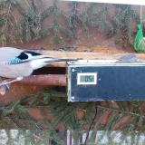 photo 2021-03-03 07-02-17