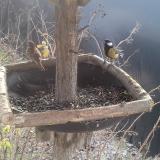 photo 2019-12-31 10-53-36