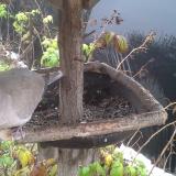 photo 2019-12-02 09-58-05