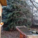 photo 2021-12-15 09-06-19