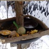 photo 2019-01-22 09-49-35