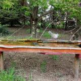 photo 2021-04-28 11-40-43